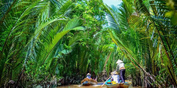 People boating through a lush tropical river.