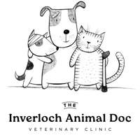 Inverloch Animal Doc