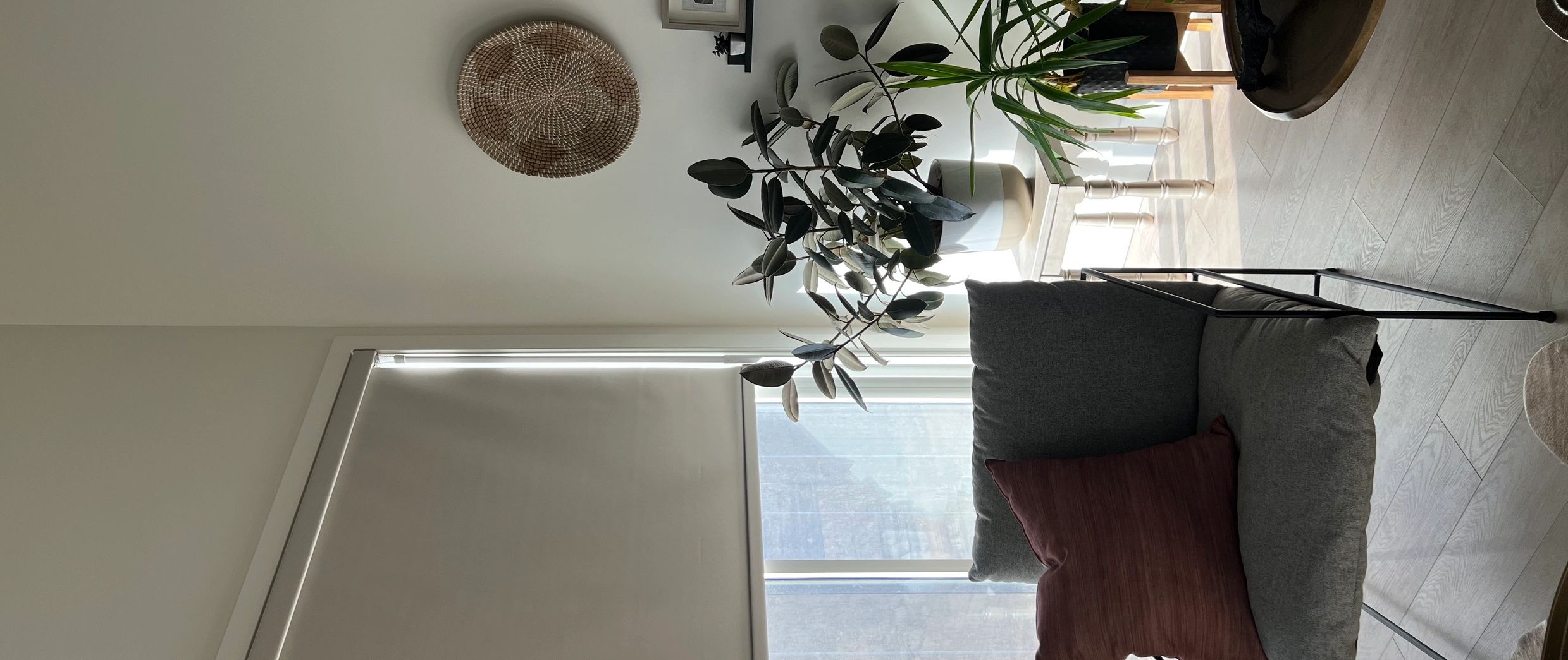 Cozy corner with a cushioned chair, indoor plants, and natural light through a window with a roller shade.