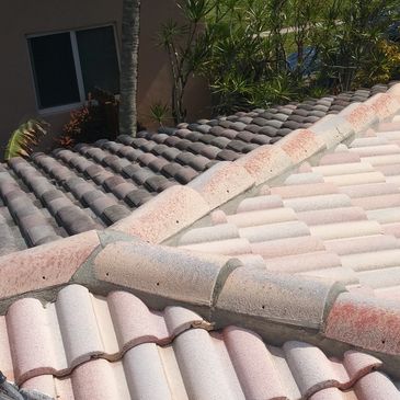 Miami pressure washing & roof cleaning fast pressure washing service one call solves it all 