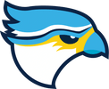 Cardiff Merlins Baseball Club