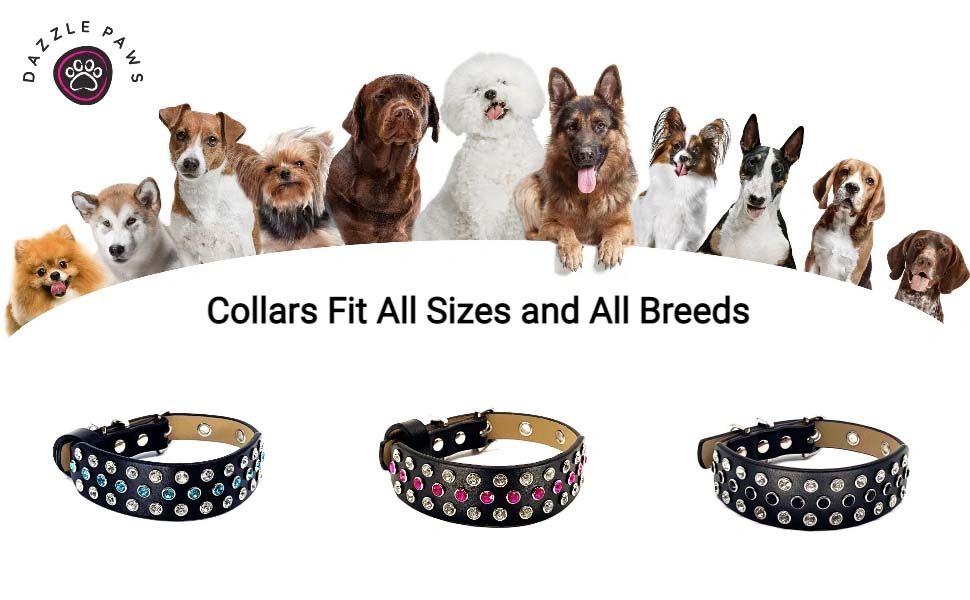 Dazzle Paws Designer Dog Collar – Rhinestone Diamond Fancy Studded Bling Luxury Black Microfiber Leather Sparkly Adjustable Boy and Girl Dogs (Small