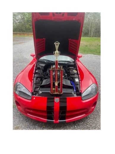 2005  Viper Show winning pic from 2023