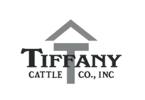 Tiffany Cattle co.
