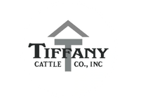 Tiffany Cattle co.
