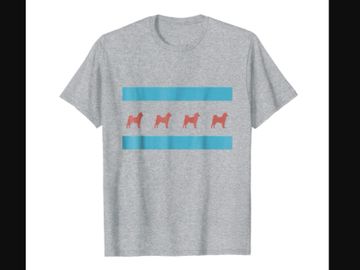 Chicago Flag, Shiba Inu tee shirt