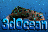 3d0cean