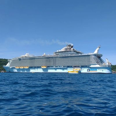Cruise Ship Excursions