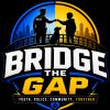 Logo of Bridge The Gap community group with city skyline and handshake.