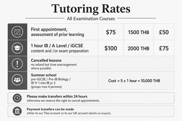 Tutoring rates for various courses in USD, THB, and GBP with payment details.