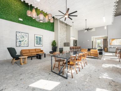 Modern open lounge area with mixed seating and greenery.