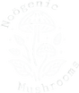  Noögenic Mushrooms 
 