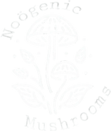  Noögenic Mushrooms 
 