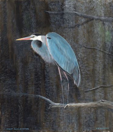 Curt Whiticar, oil painting, birds, Great Blue Heron, mangrove trees, night