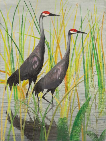 Curt Whiticar, oil painting, Sandhill Cranes, swamp, grass