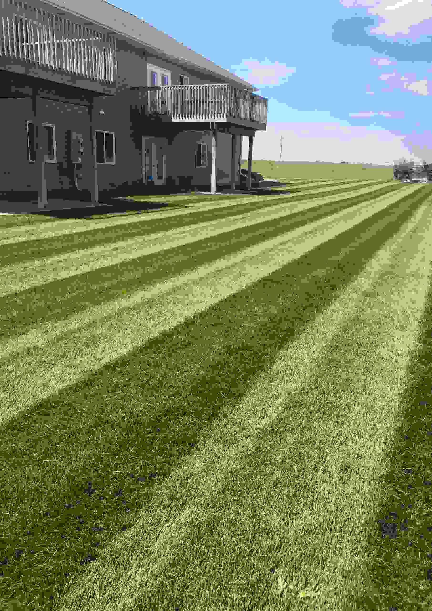 Mowing Stripes on lawn