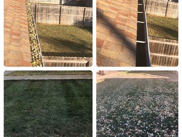 Clean gutters and lawn after having leaves removed by Alpha Lawn Care LLC in Kearney Ne