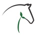 Green Horsemanship