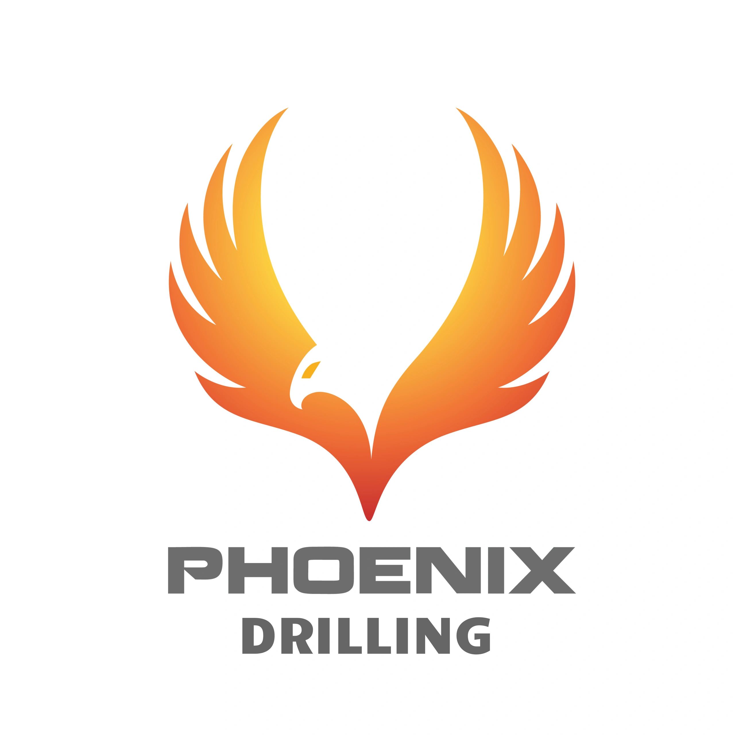 phoenix directional drilling