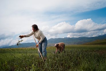 Georgian-Armenian border, May 2012 - farmers