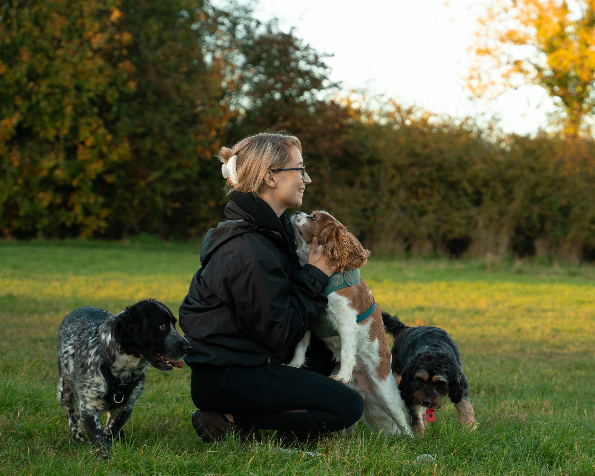 Holly Takes The Lead Dog Walking Pet Services Holly Takes The Lead Dog Walking Pet Services