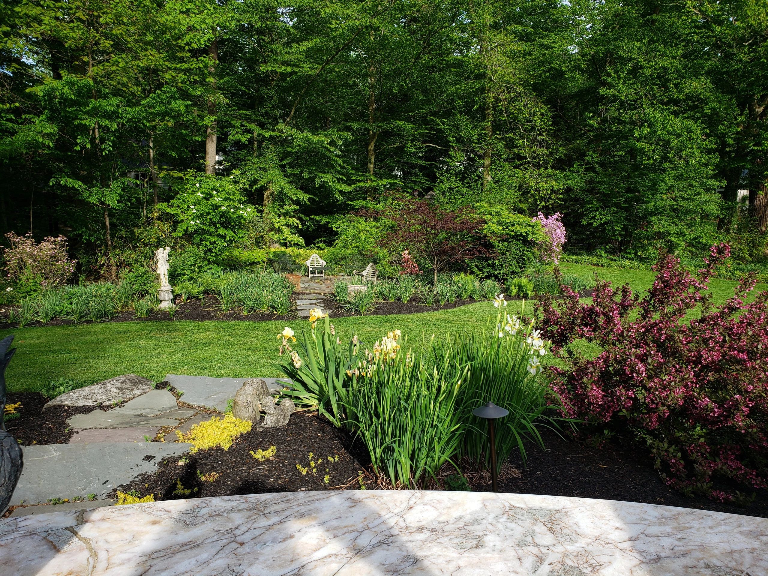 Lush backyard garden with a variety of plants, trees, and a stone pathway leading to a small patio.