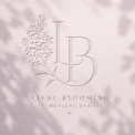 Lilac Blooming