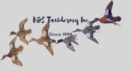 B&S Taxidermy Inc