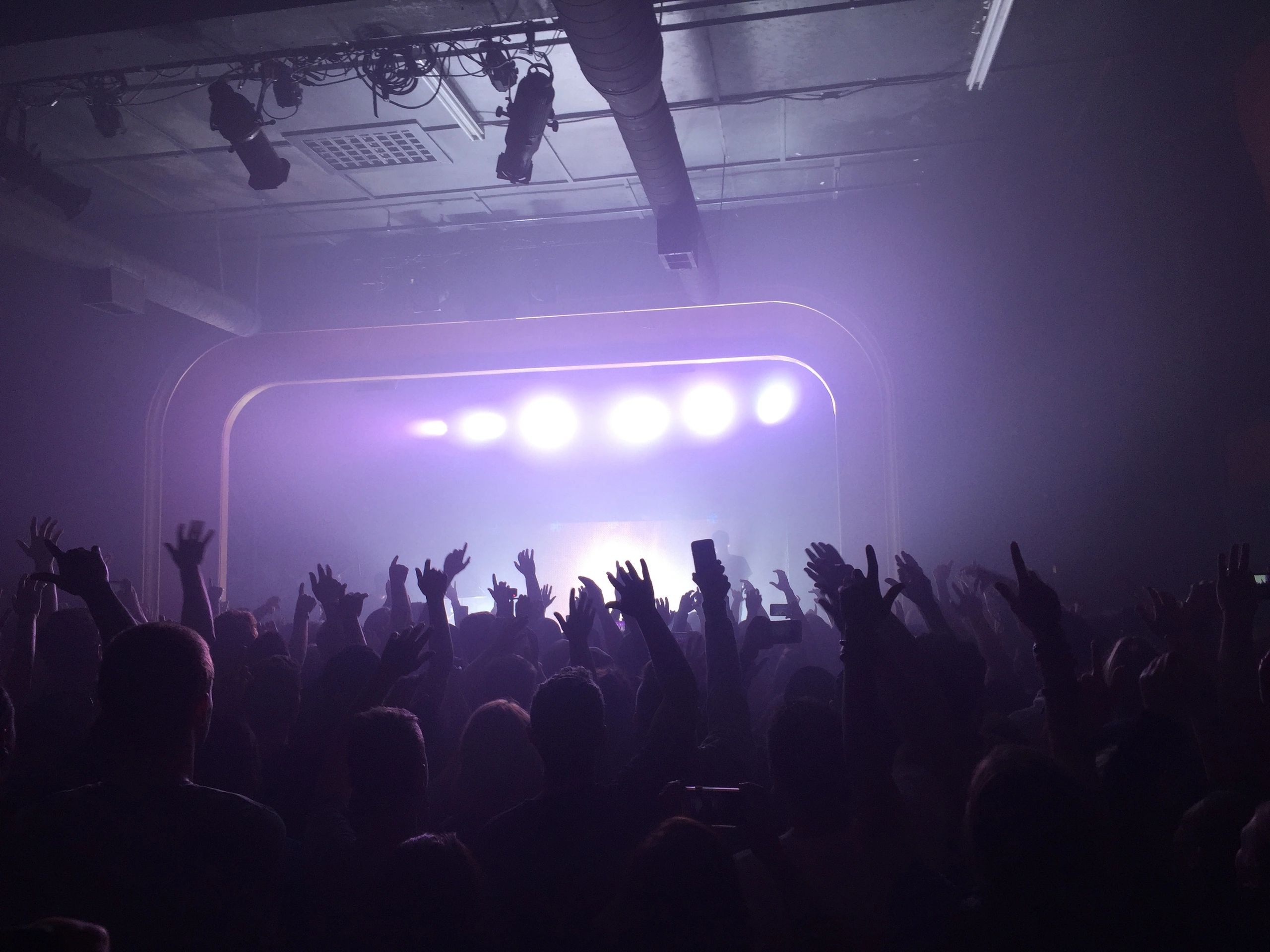 Concert Investor