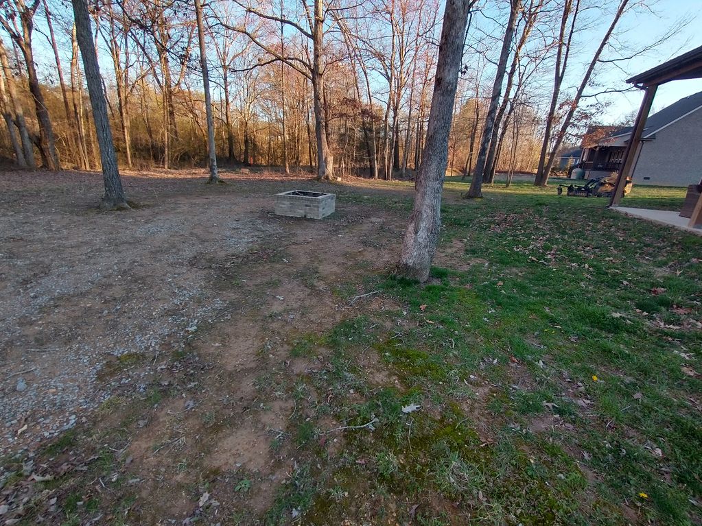 Backyard with gravel and patchy grass.