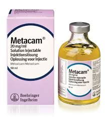 Meloxicam in Pigs