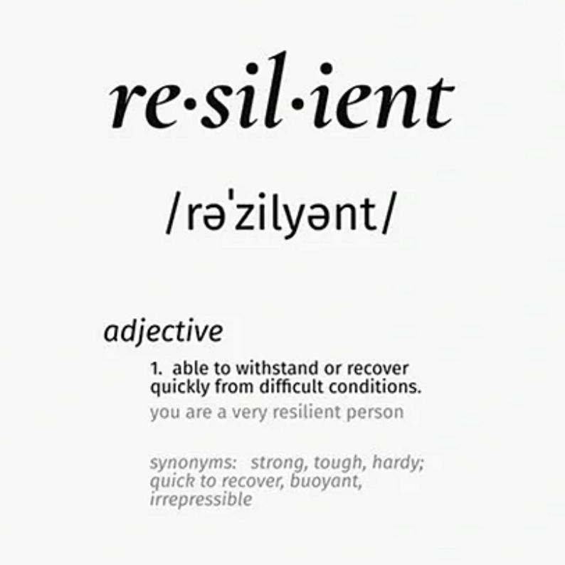 The EPIC Blog Visualizing Resiliency