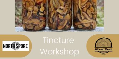 Tincture Workshop