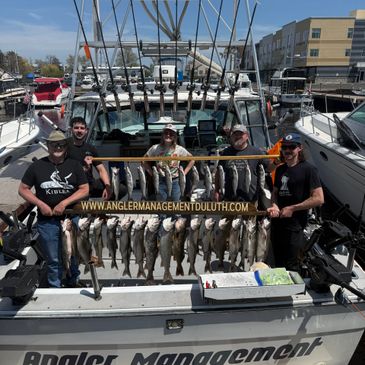 Lake Trout, Salmon