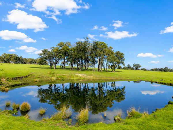Perth's Exclusive Home + Acreage Listings