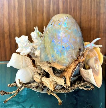 Fossilized Mermaid Egg. Mother of pearl Egg. Bits of flotsam and jetsam. 