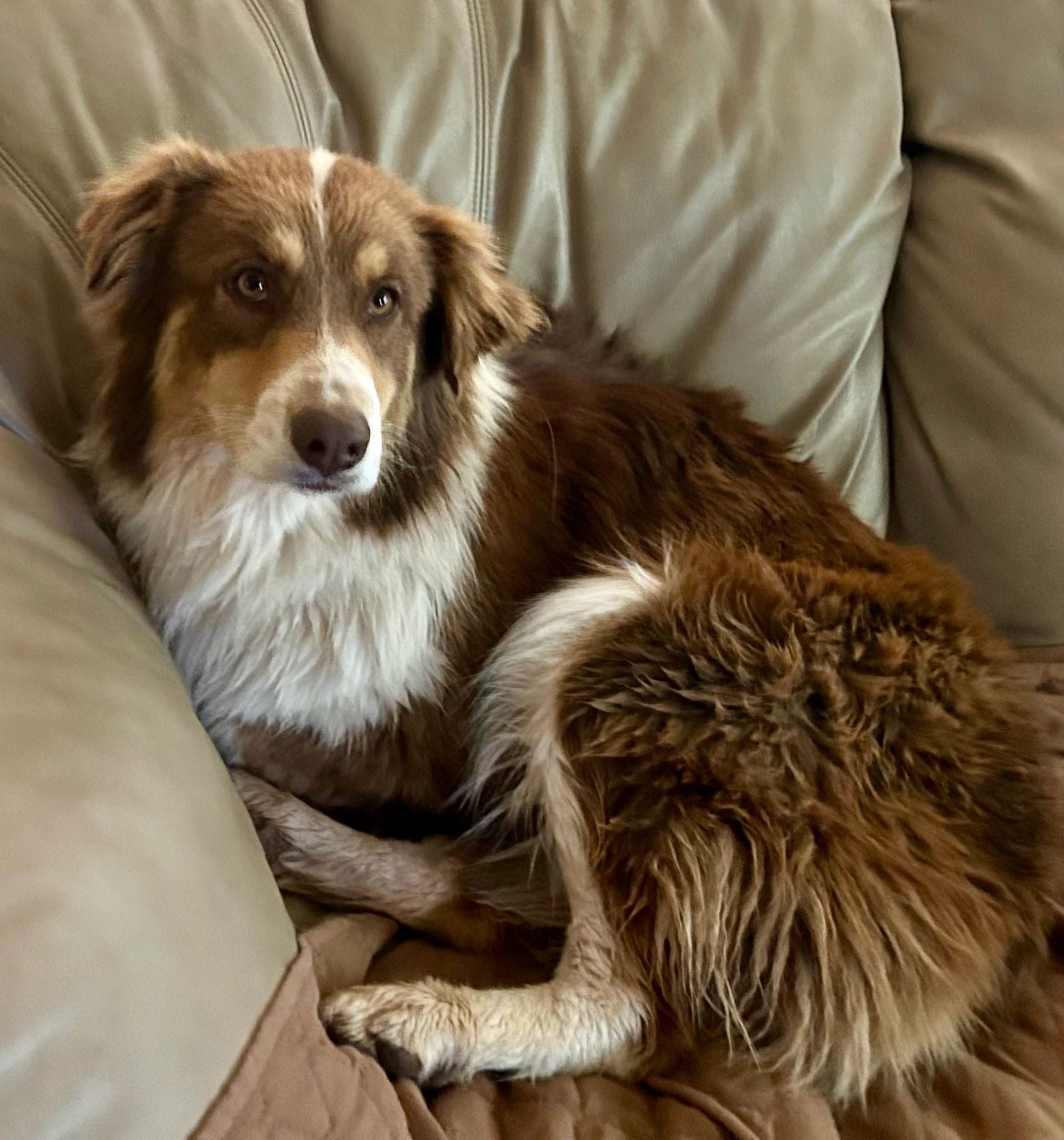 Ellie