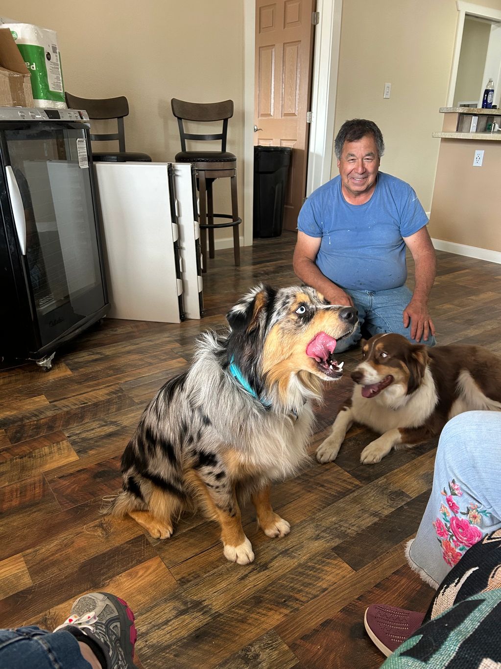 Elli/Skynyrd seeing the ultrasound of thier puppies!!!