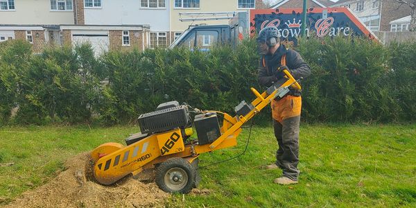 A stump removal and grinding job in lancing.