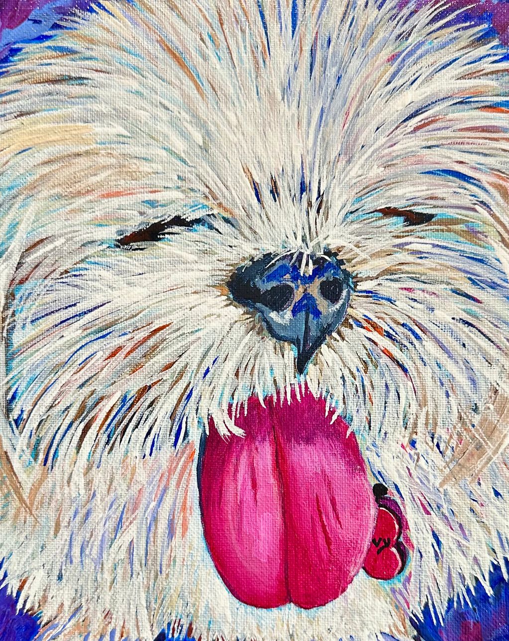 Rivvy in the sun. Pet portrait example.