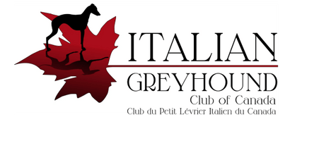 igclub.ca