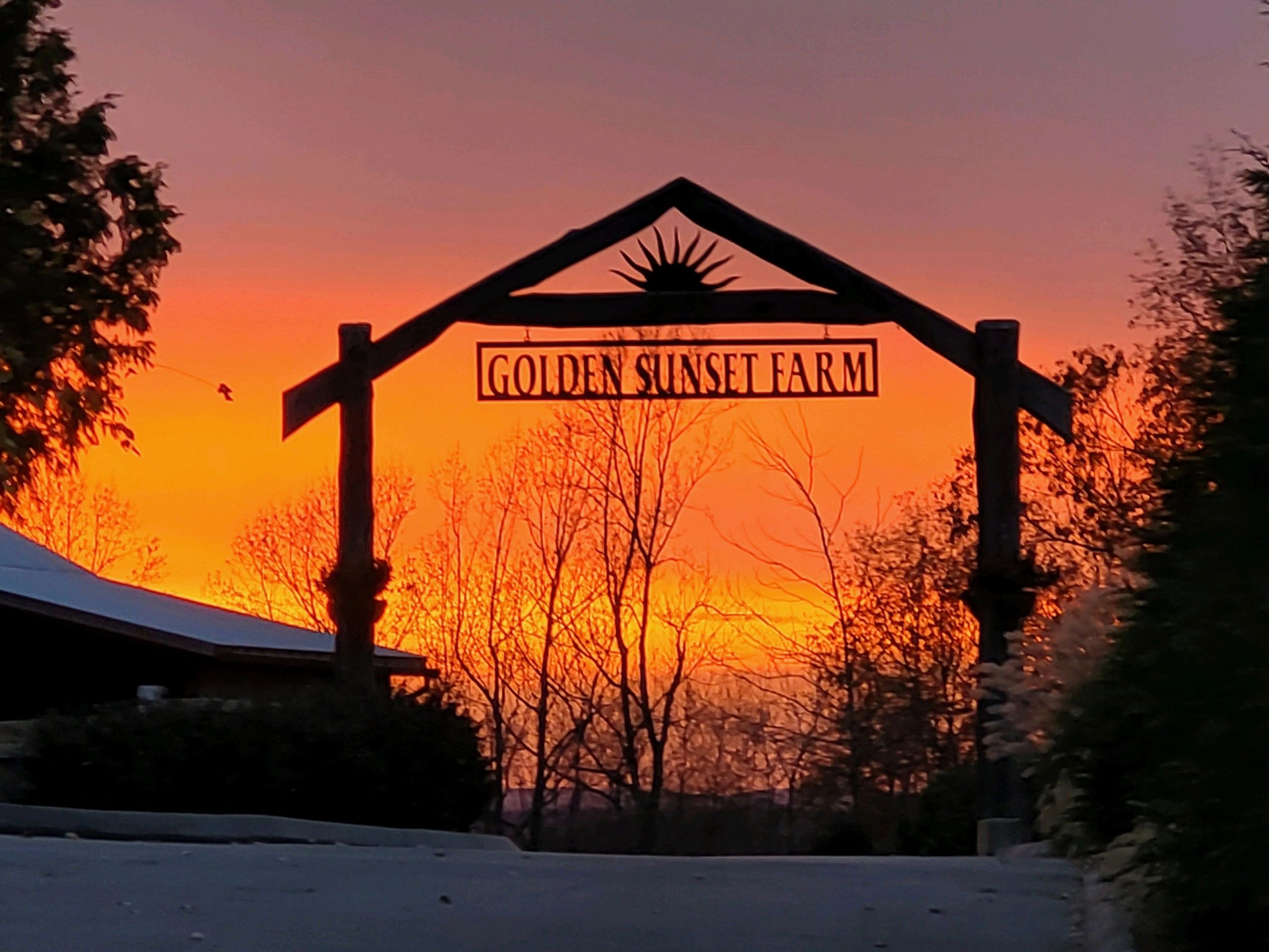 Equine boarding facilities near me