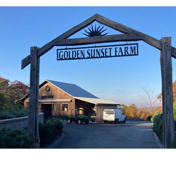 Golden Sunset Farm Horse Boarding