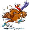 Killington Turkey Trot New