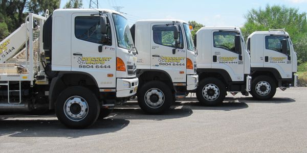 Skip Trucks Ryde Skip Bins