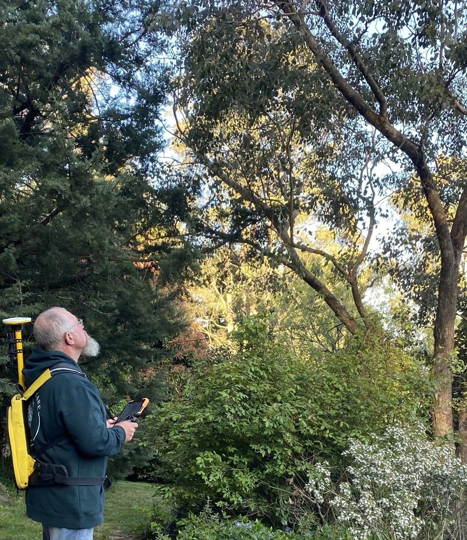 Assessing trees using sub 30cm accuracy using Trimble technology.
