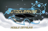 AutoCleanse Mobile Detailing