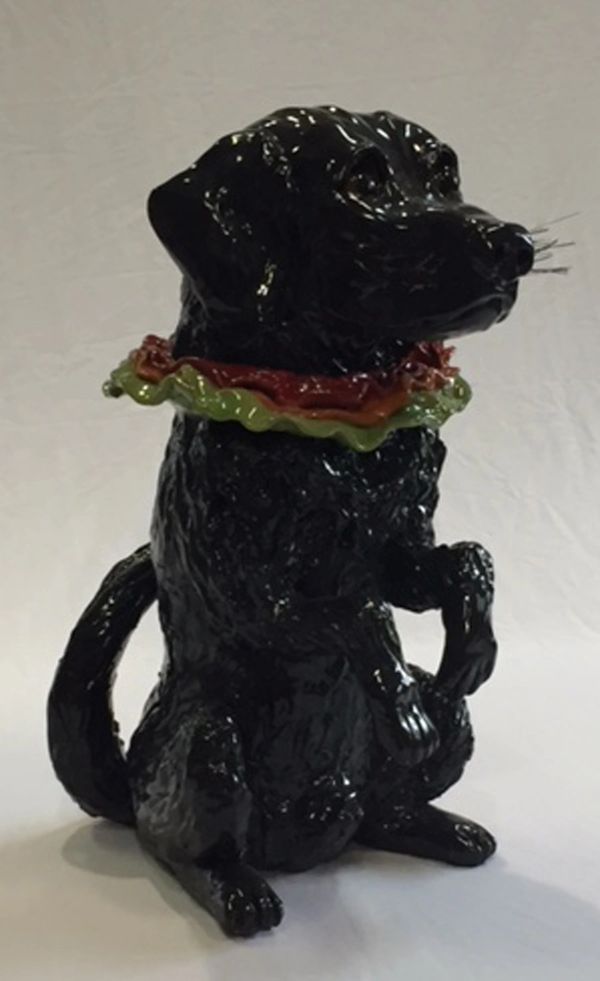 Black Labrador Retriever with frilly collar