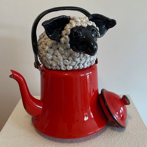 Wooly white sheep with a black face in a red enamel teapot