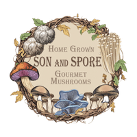 sonandspore.com